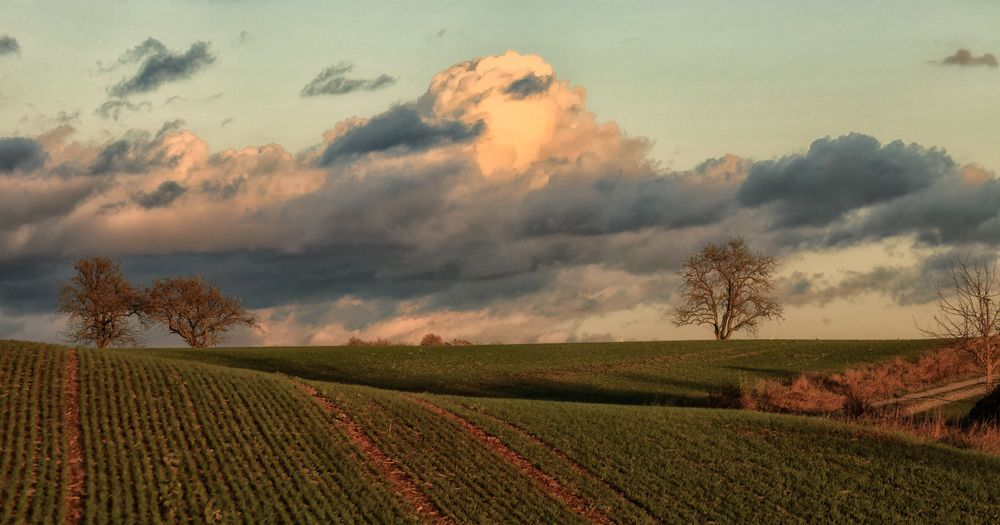 Wolkenfelder....