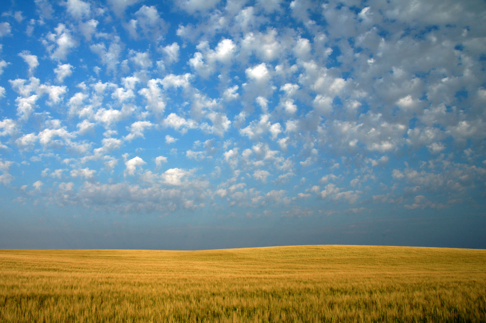 Wolkenfelder, Dänemark