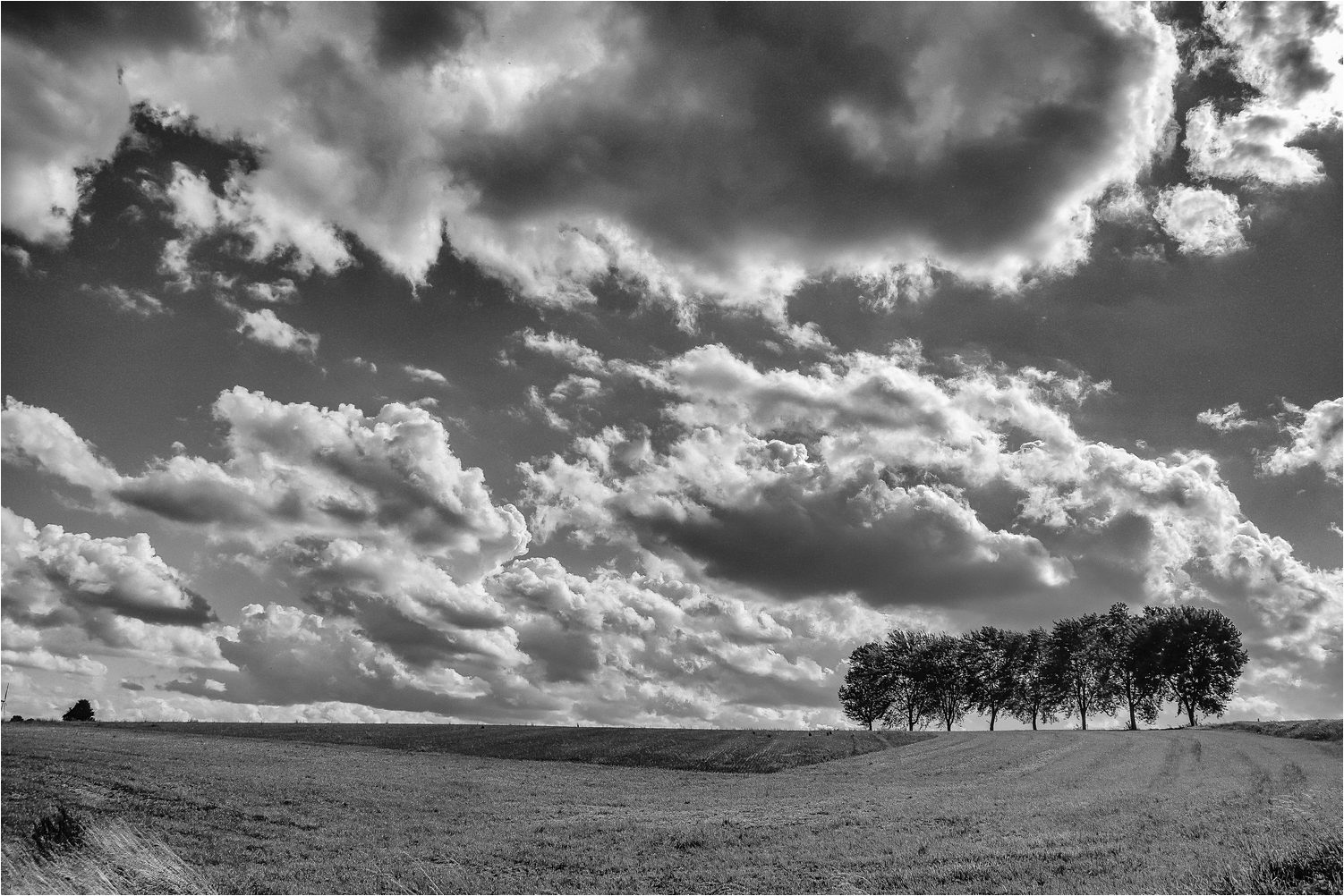 WolkenFelder