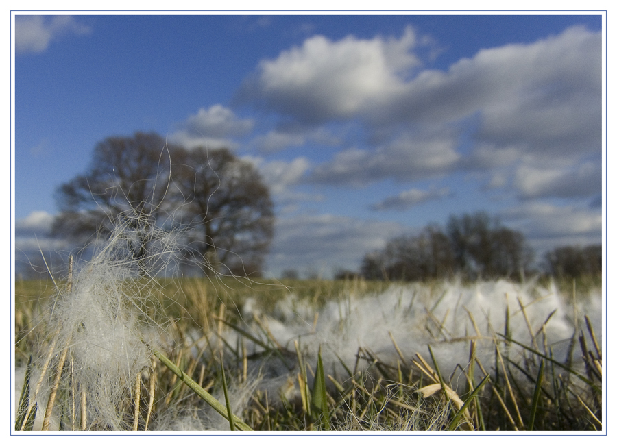 Wolkenfell