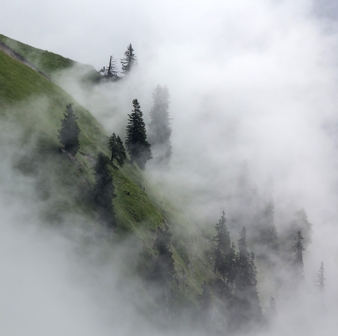 Wolkenfetzen