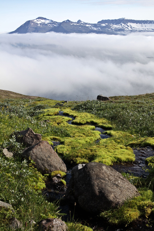 Wolkenfjord