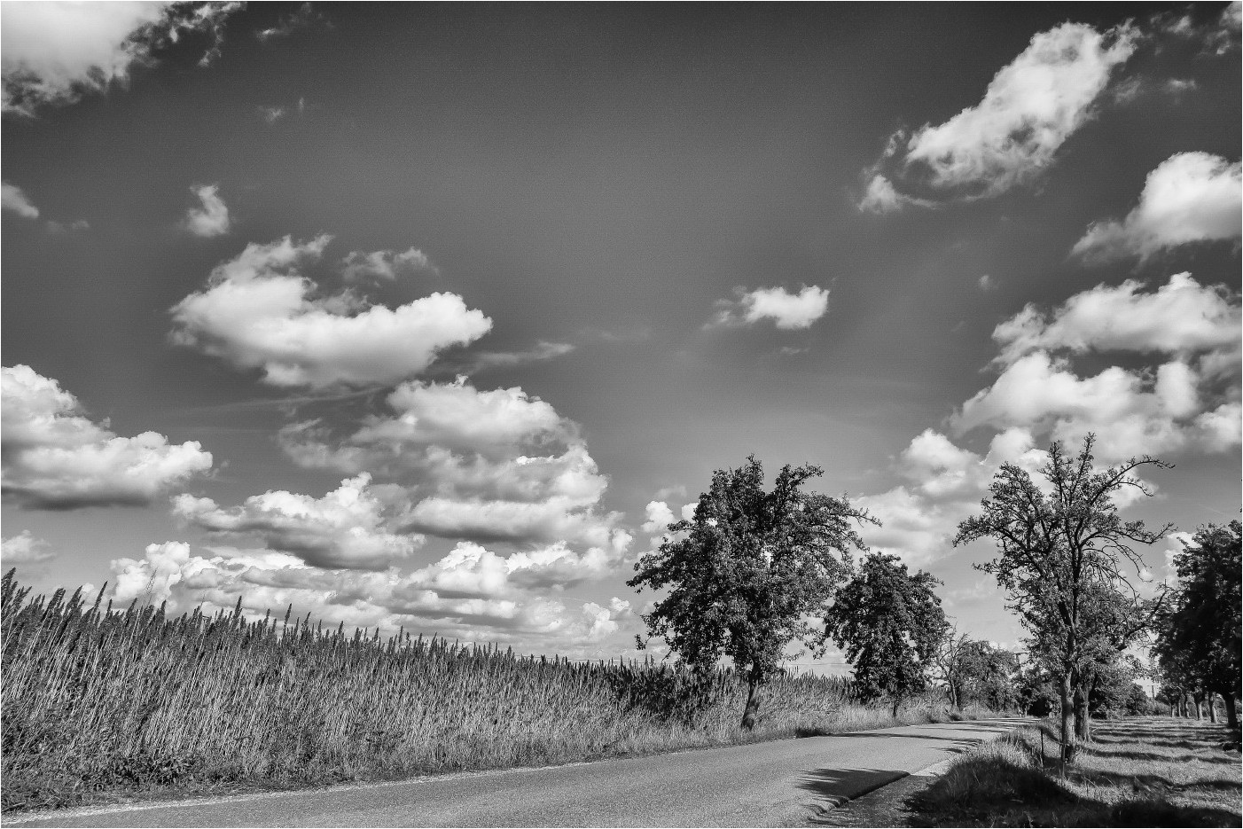 Wolkenflug