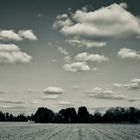 Wolkenflug nach nirgendwo