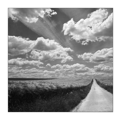 Wolkenflug - Sinsheimer Feld-Impressionen IX