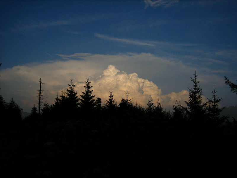 Wolkenformation hinterm Wald...