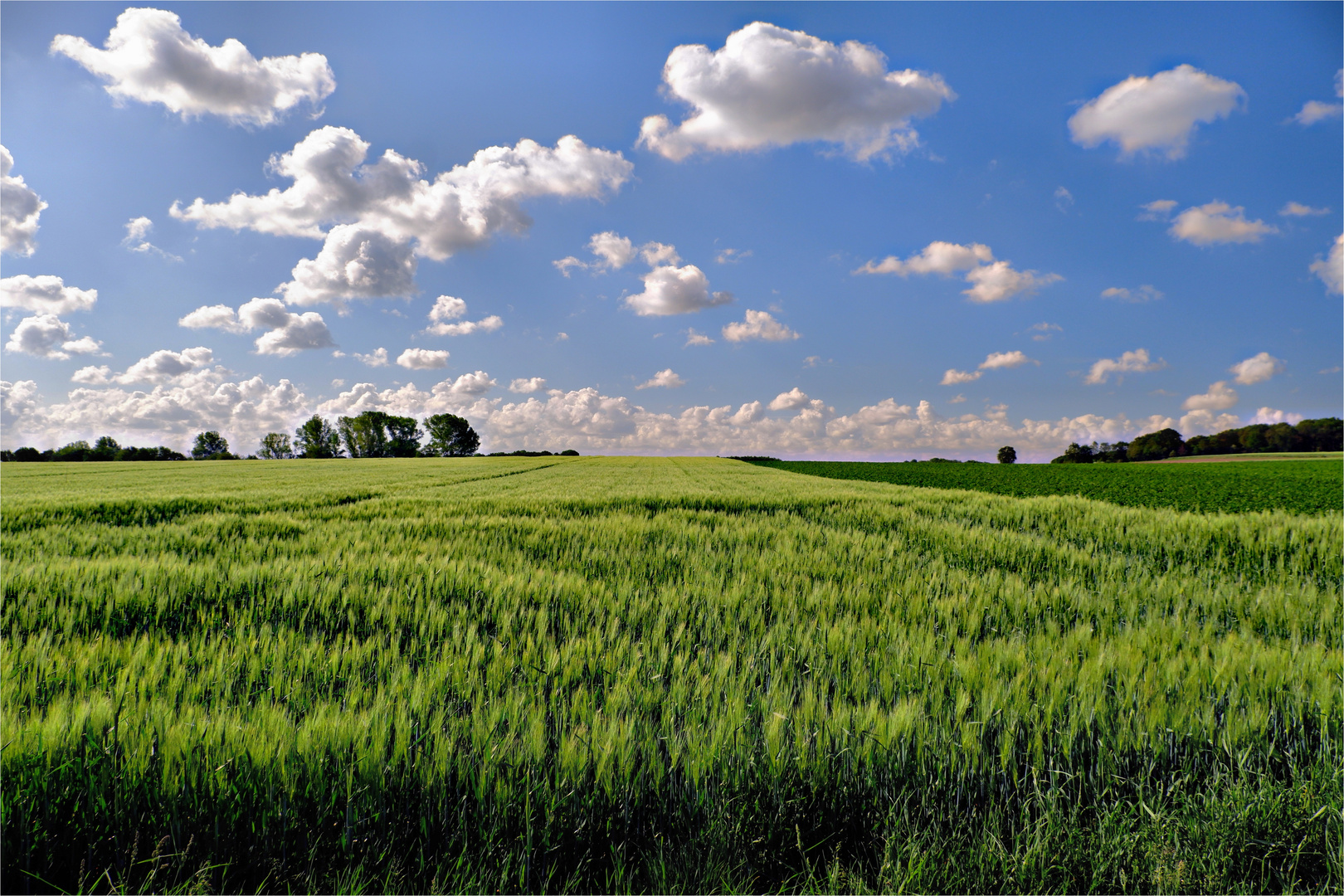 Wolkenfreude 