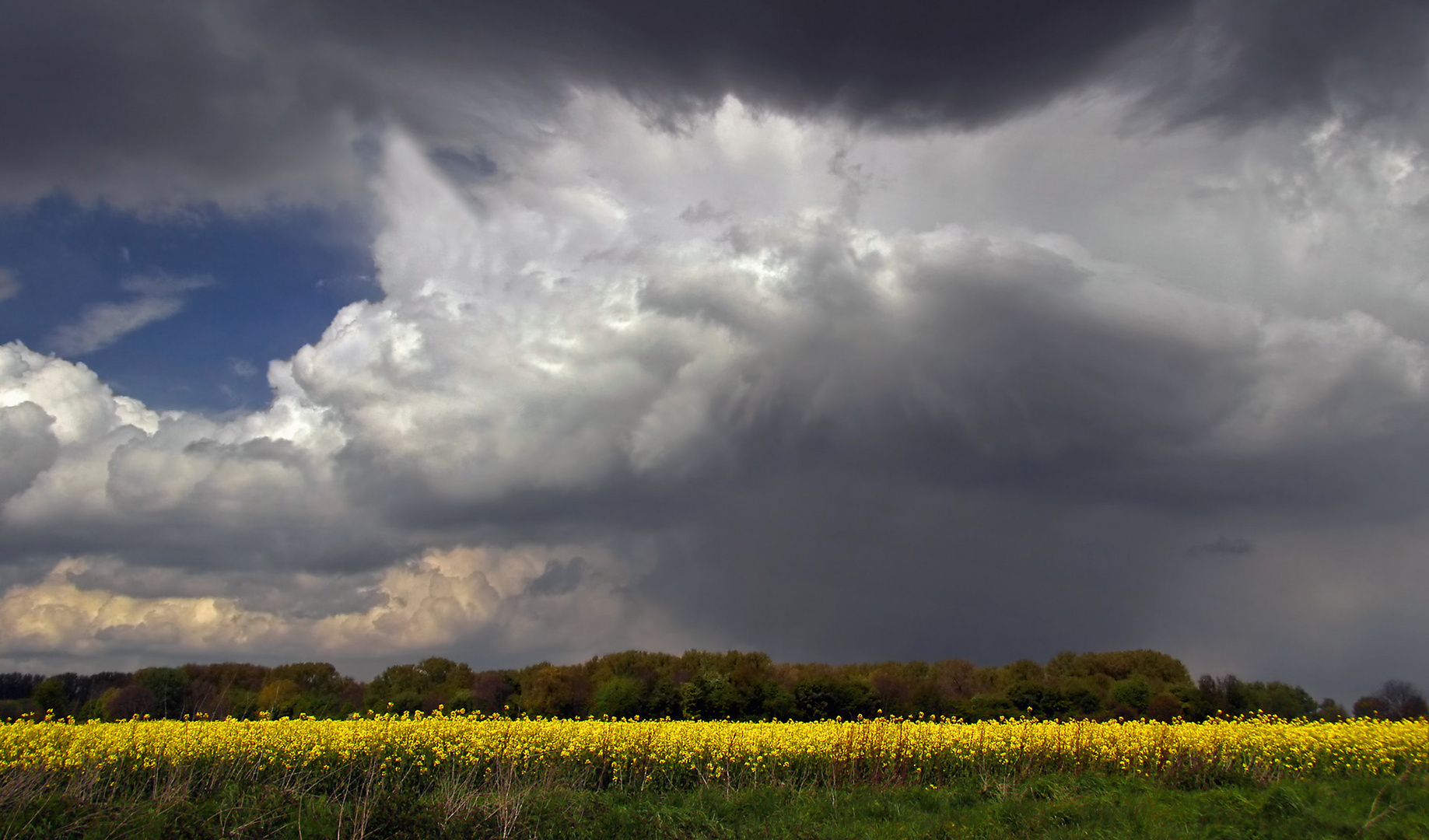 Wolkenfront