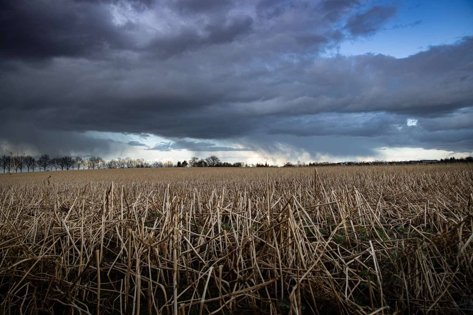 Wolkenfront am Feld