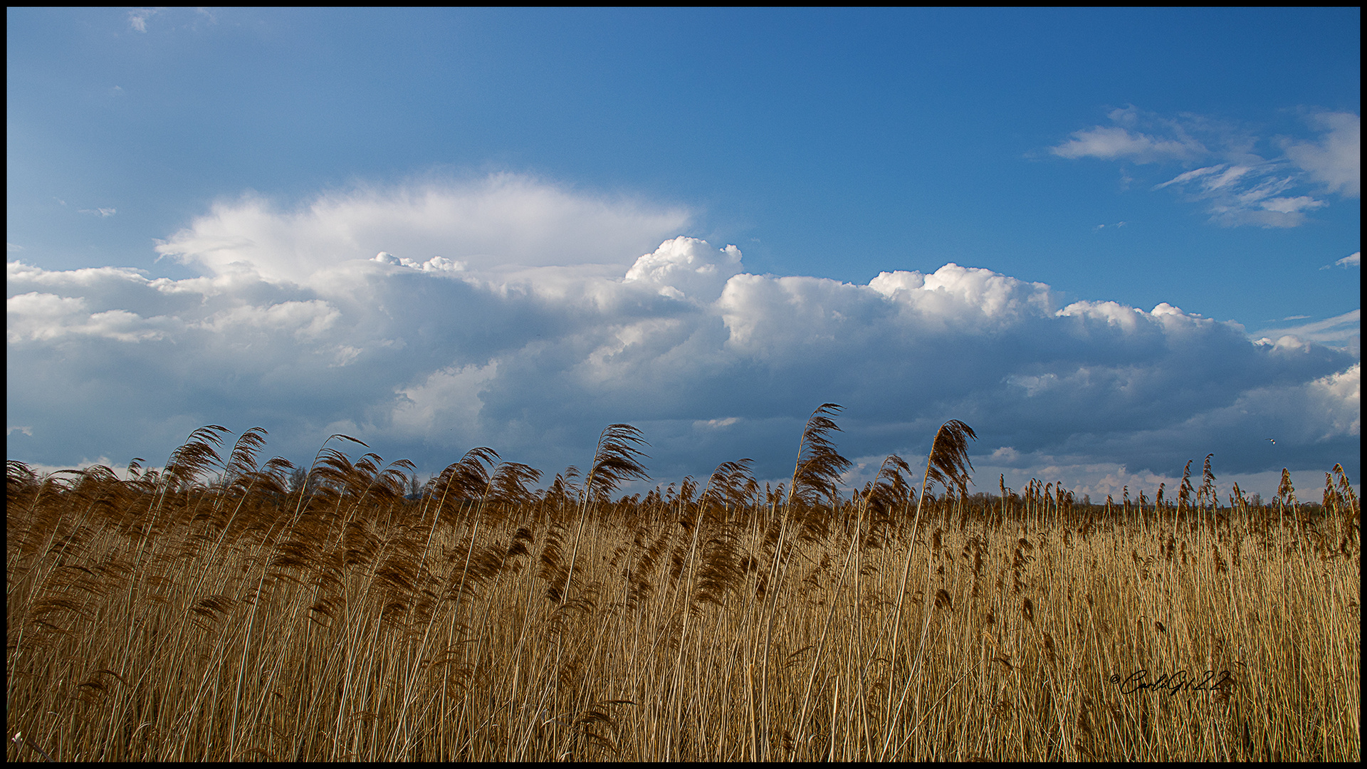 Wolkenfront