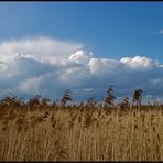 Wolkenfront