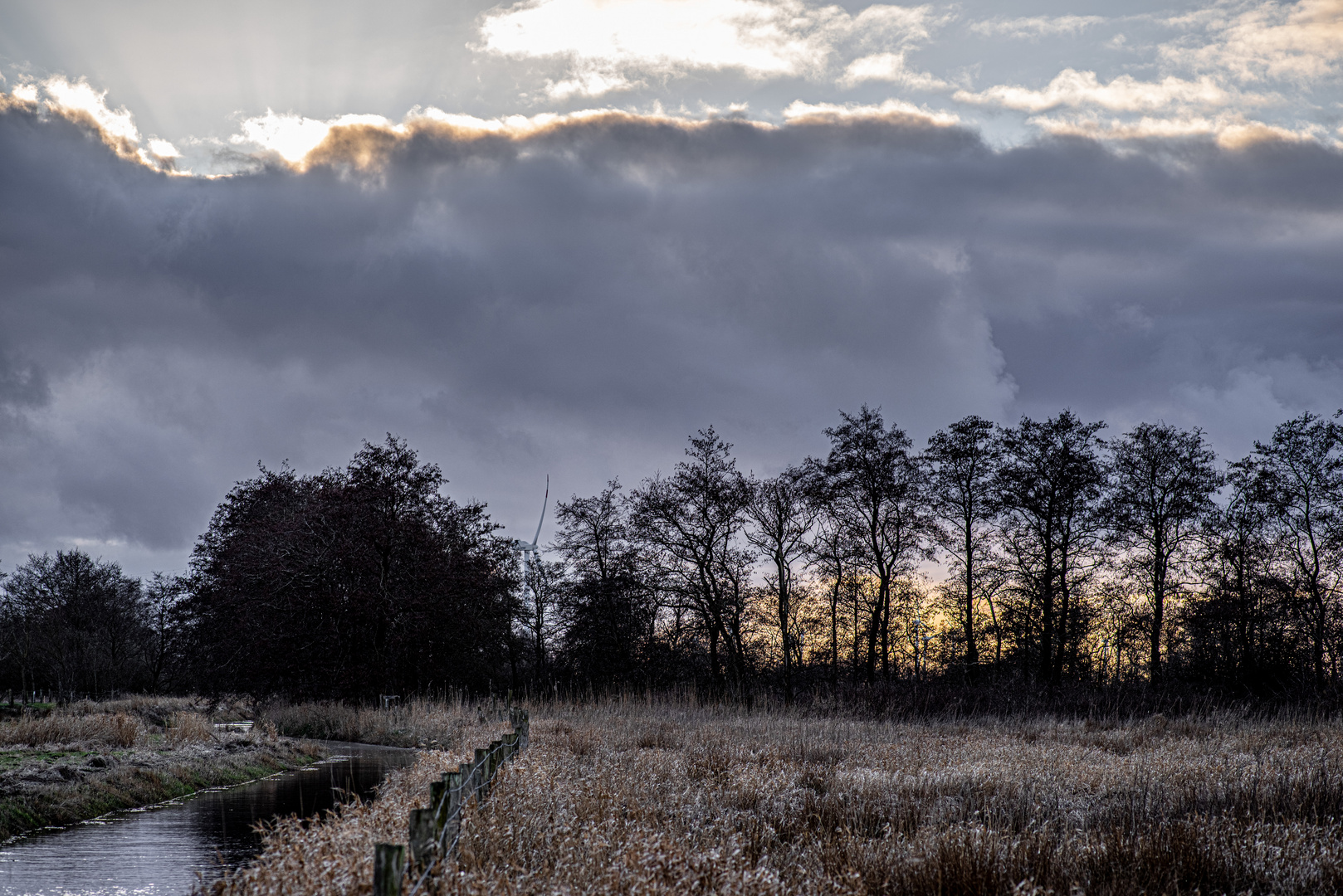 Wolkenfront hinter Bäumen hinter Bach