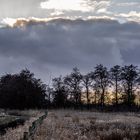 Wolkenfront hinter Bäumen hinter Bach