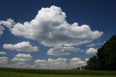 Wolkenfront über Maisfeld