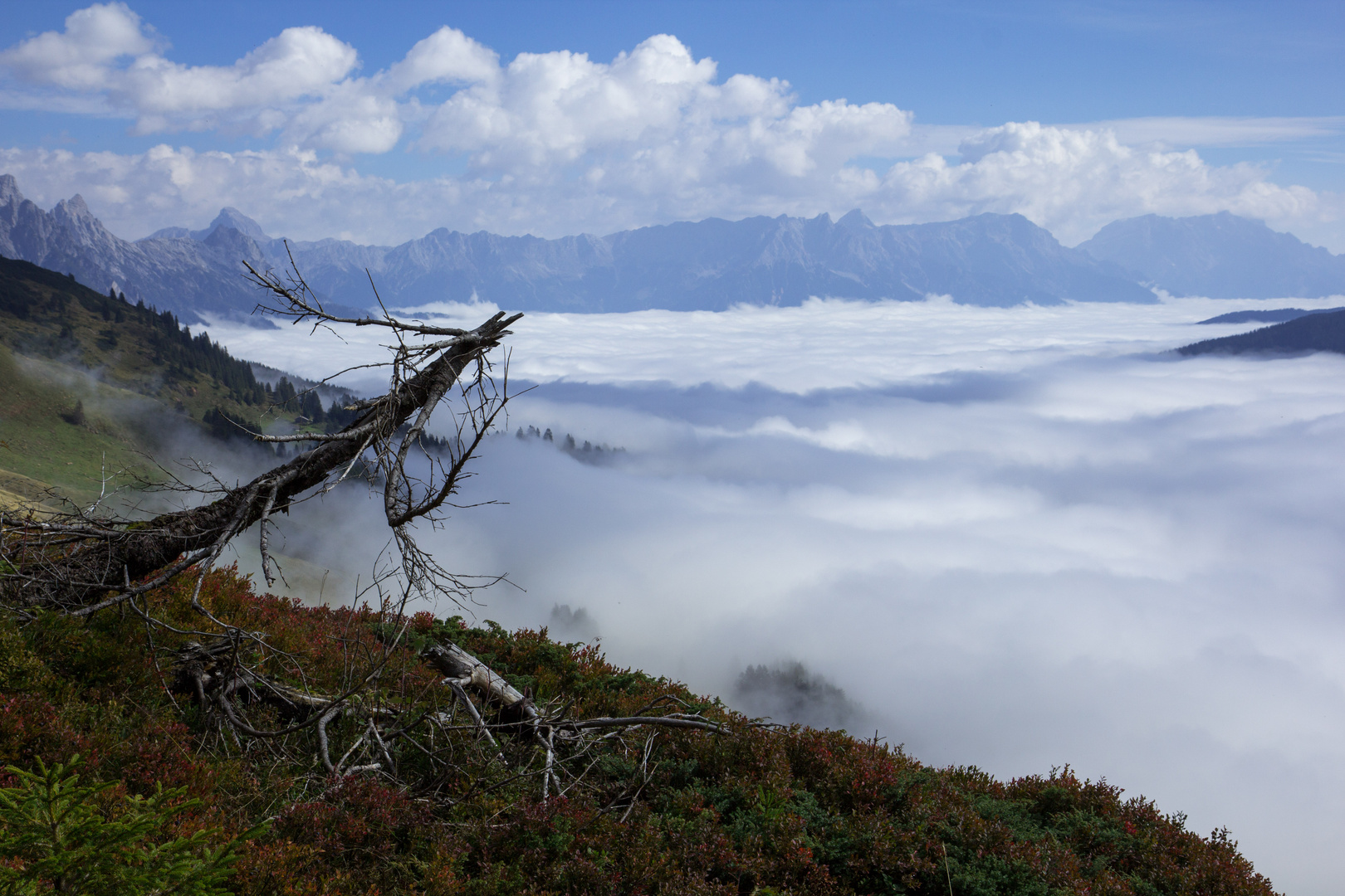 Wolkenfülle