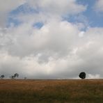 Wolkengedicht