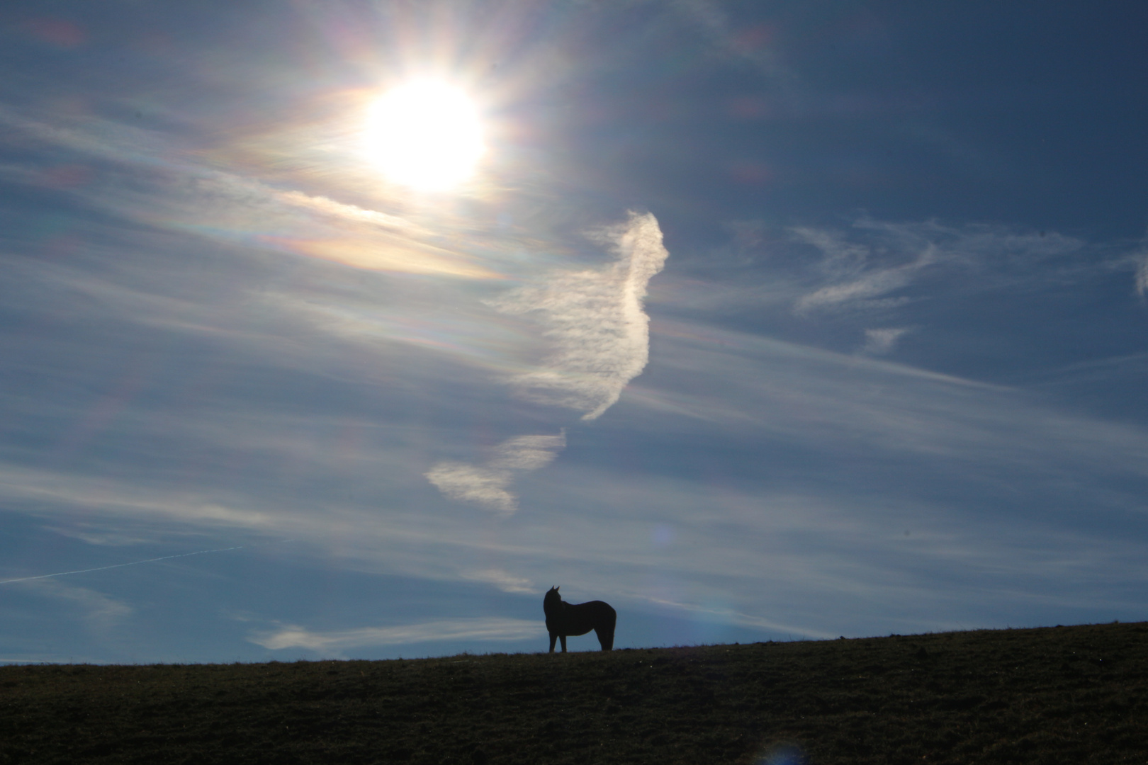 Wolkengeist