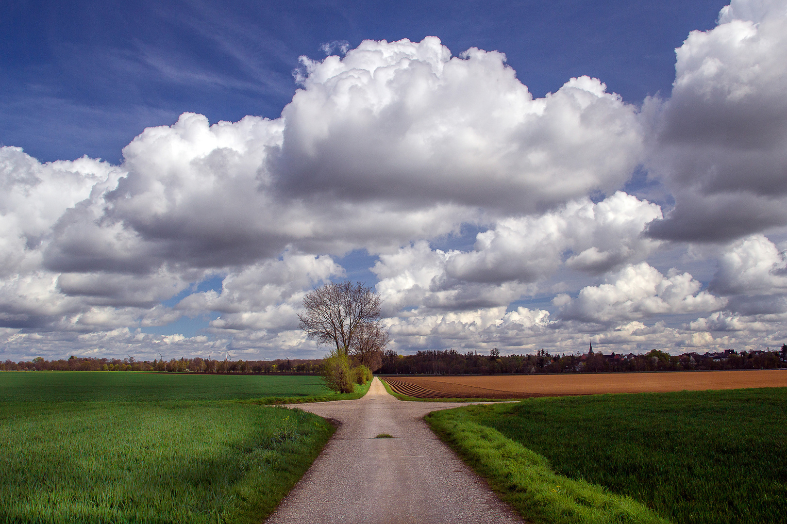 Wolkengeschwader