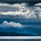 Wolkengewimmel im hastigen Sehnen