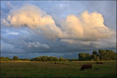 Wolkenglühen