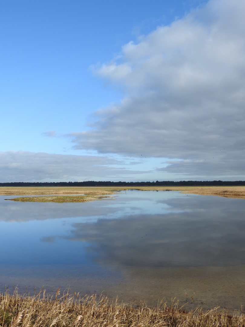 Wolkengrenze