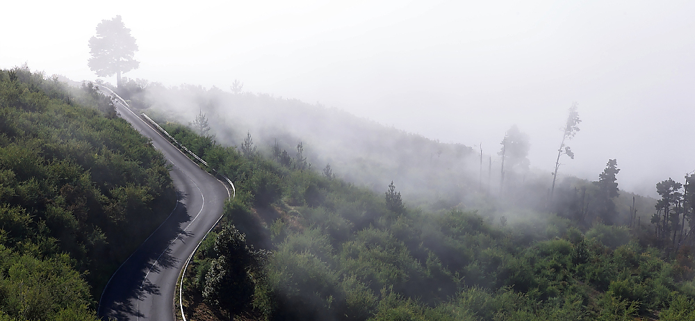 Wolkengrenze im Corona Forestal