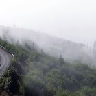 Wolkengrenze im Corona Forestal