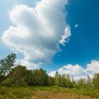 Wolkenhand über der Heide