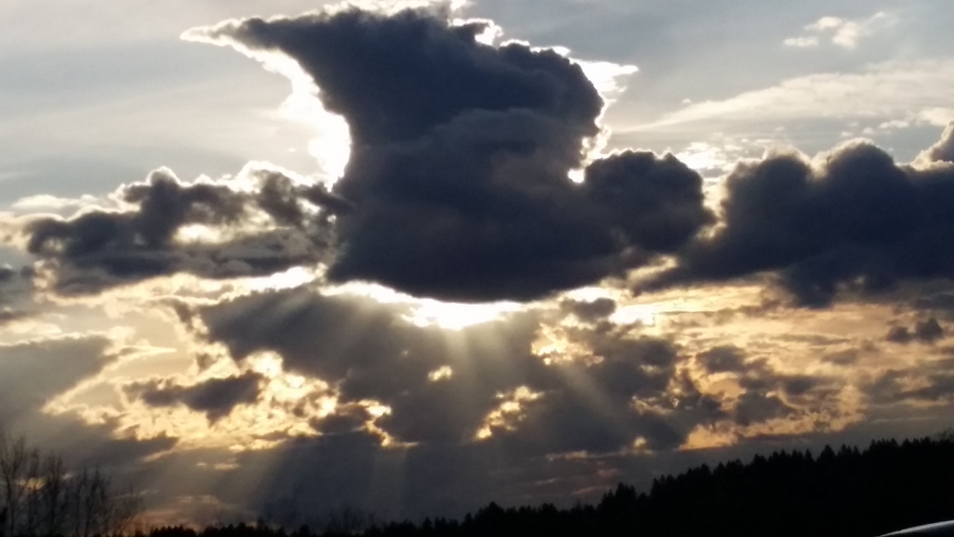 Wolkenharpyie  in der Abenddämmerung 