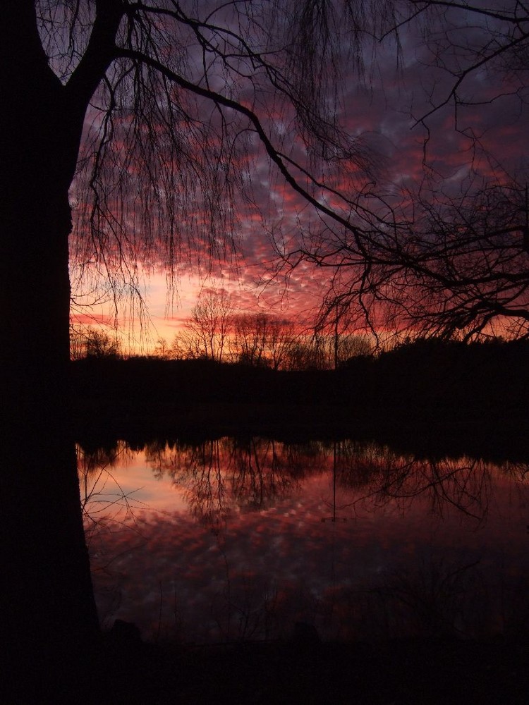 Wolkenherde