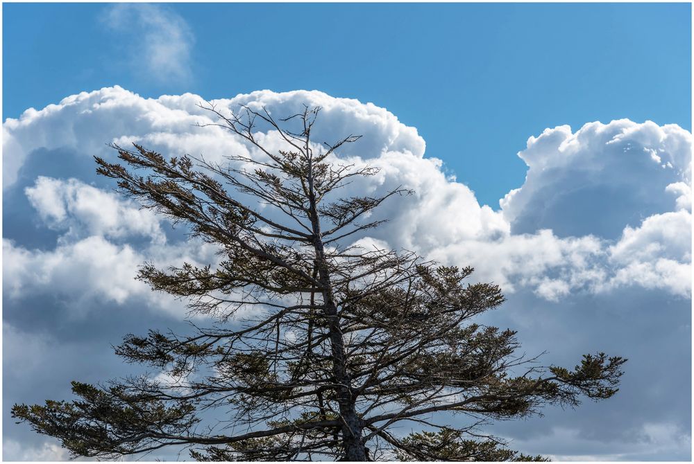 Wolkenhimmel