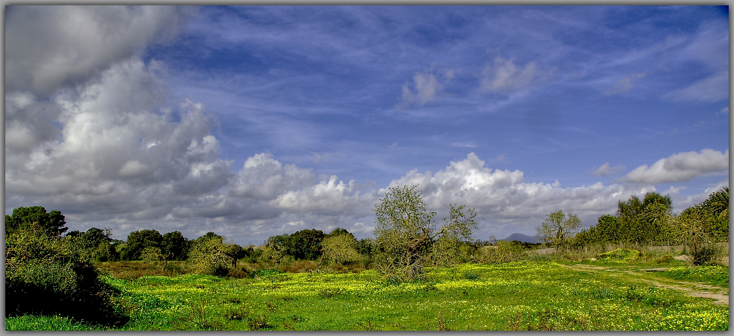 Wolkenhimmel #1