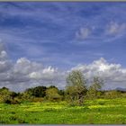 Wolkenhimmel #1