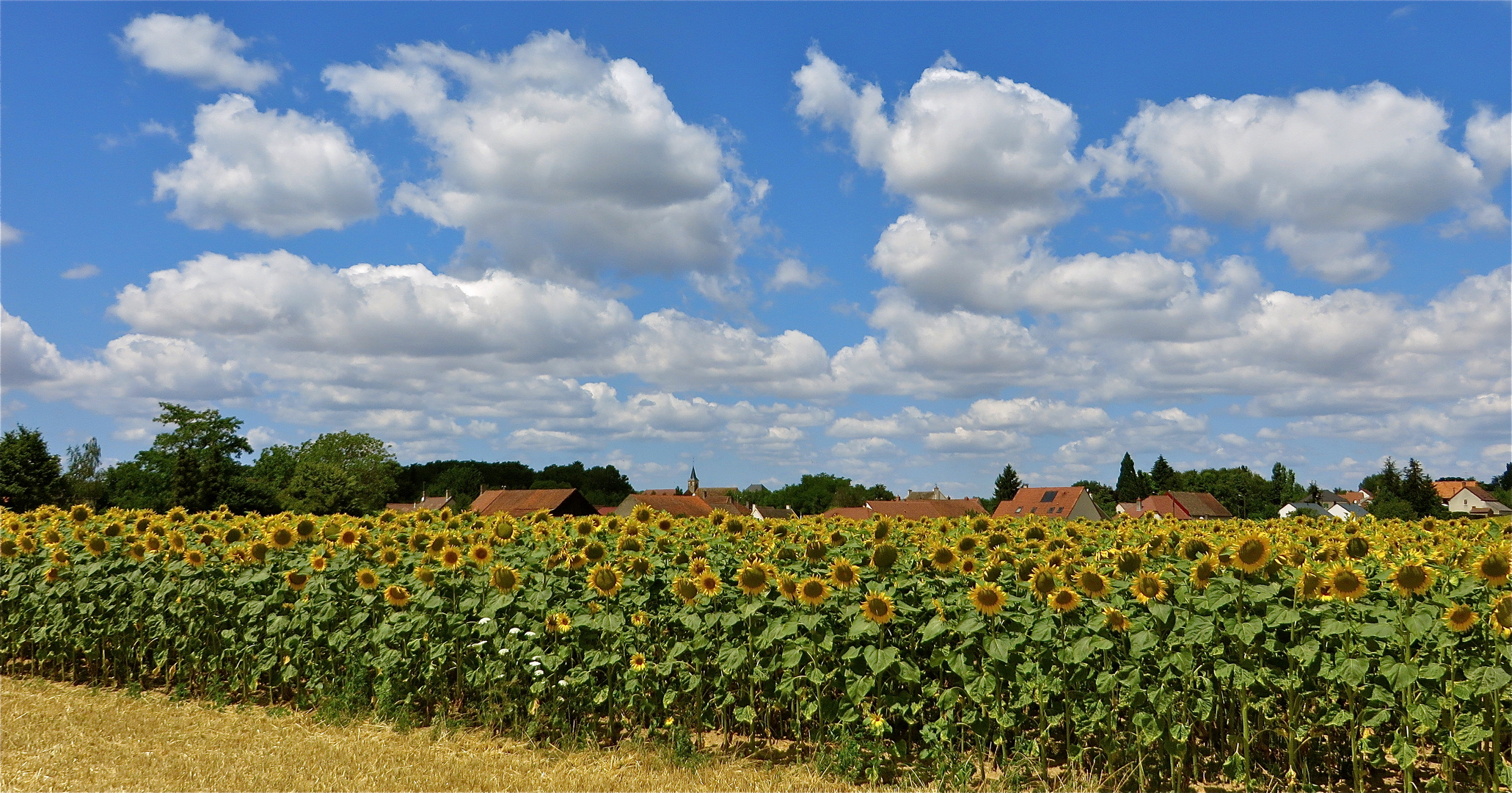 ... Wolkenhimmel !!!...