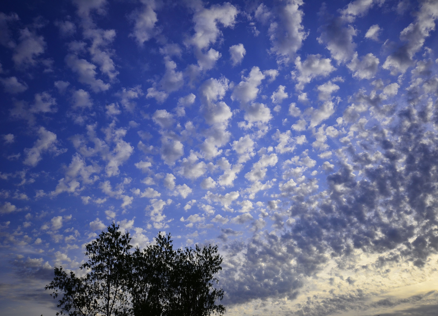 Wolkenhimmel 19.20 Uhr