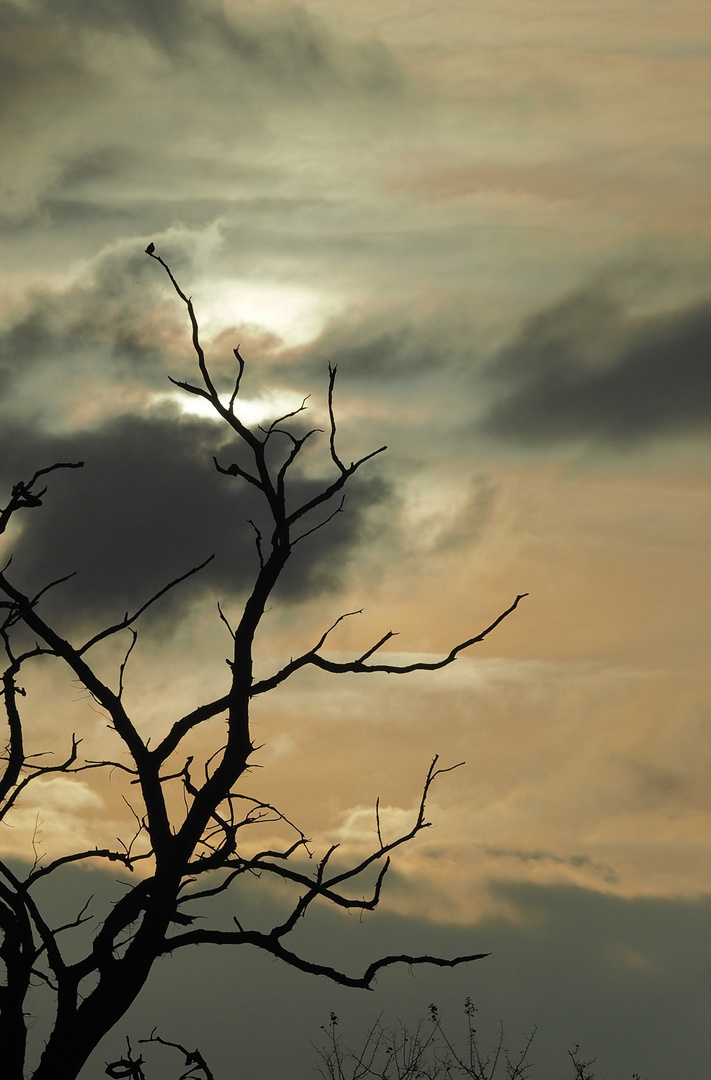 Wolkenhimmel