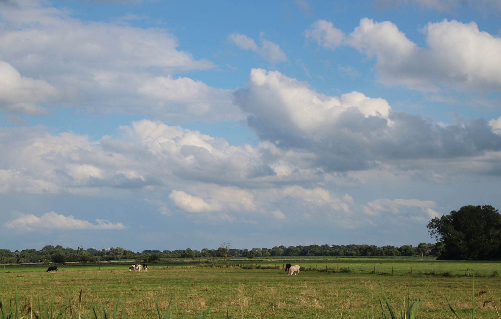 Wolkenhimmel ... 