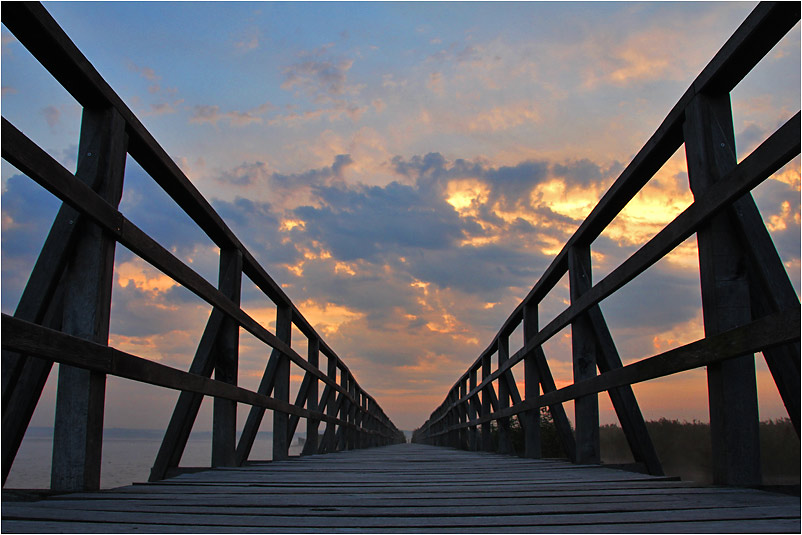 Wolkenhimmel aus der Bodenperspektive