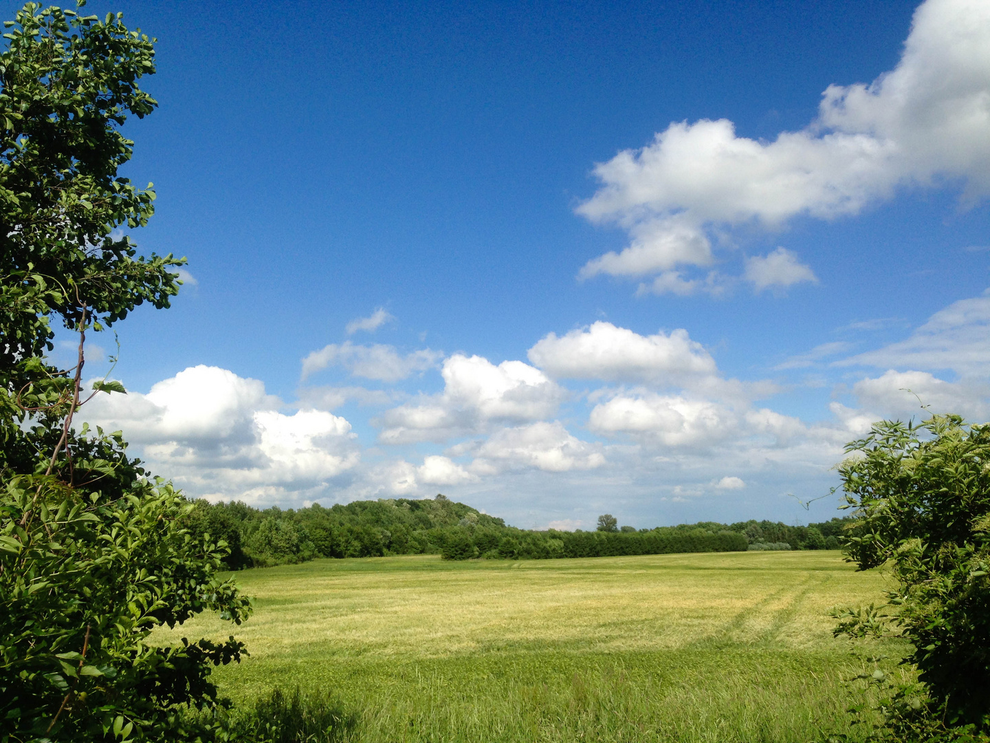 Wolkenhimmel II