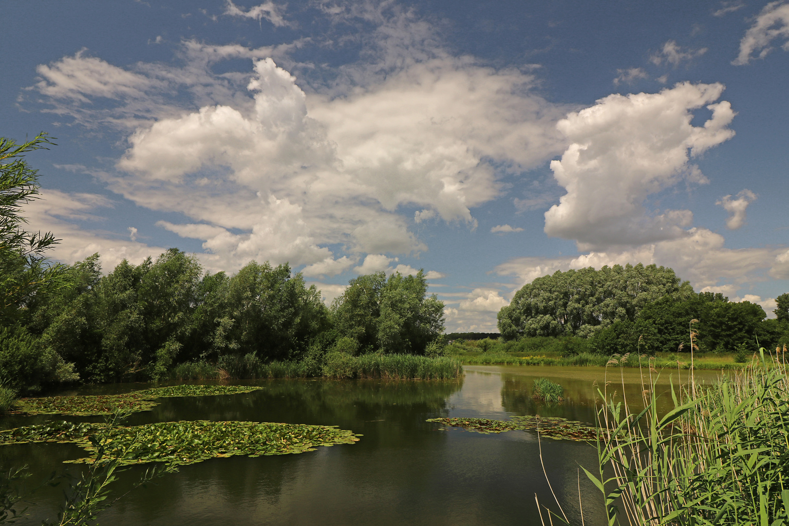 Wolkenhimmel im Juli