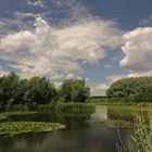 Wolkenhimmel im Juli