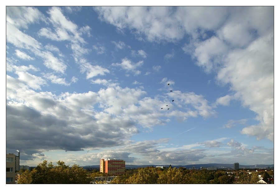 Wolkenhimmel mit Zugvögel