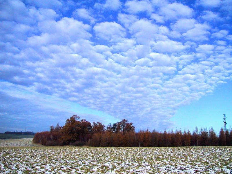 Wolkenhimmel  Sonntag 25.Nov.01