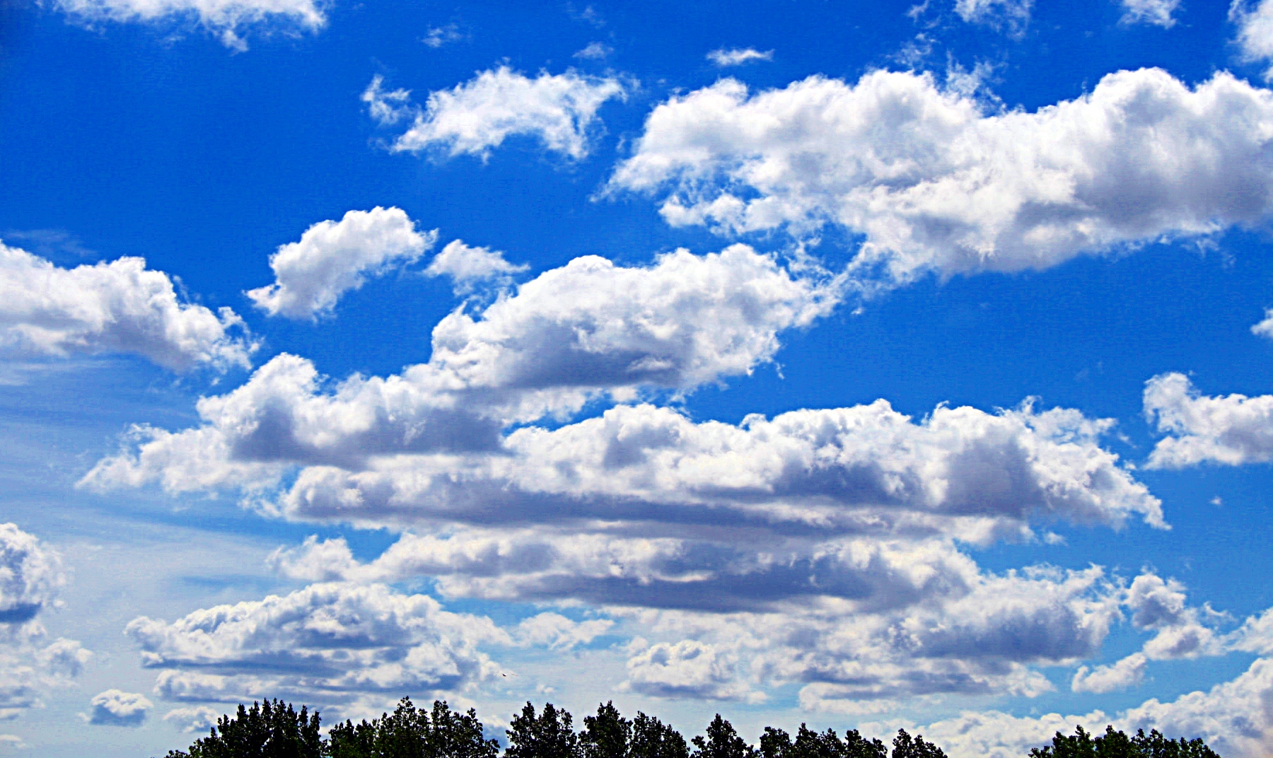 Wolkenhimmel über Greifswald Foto & Bild himmel, wolken, himmel