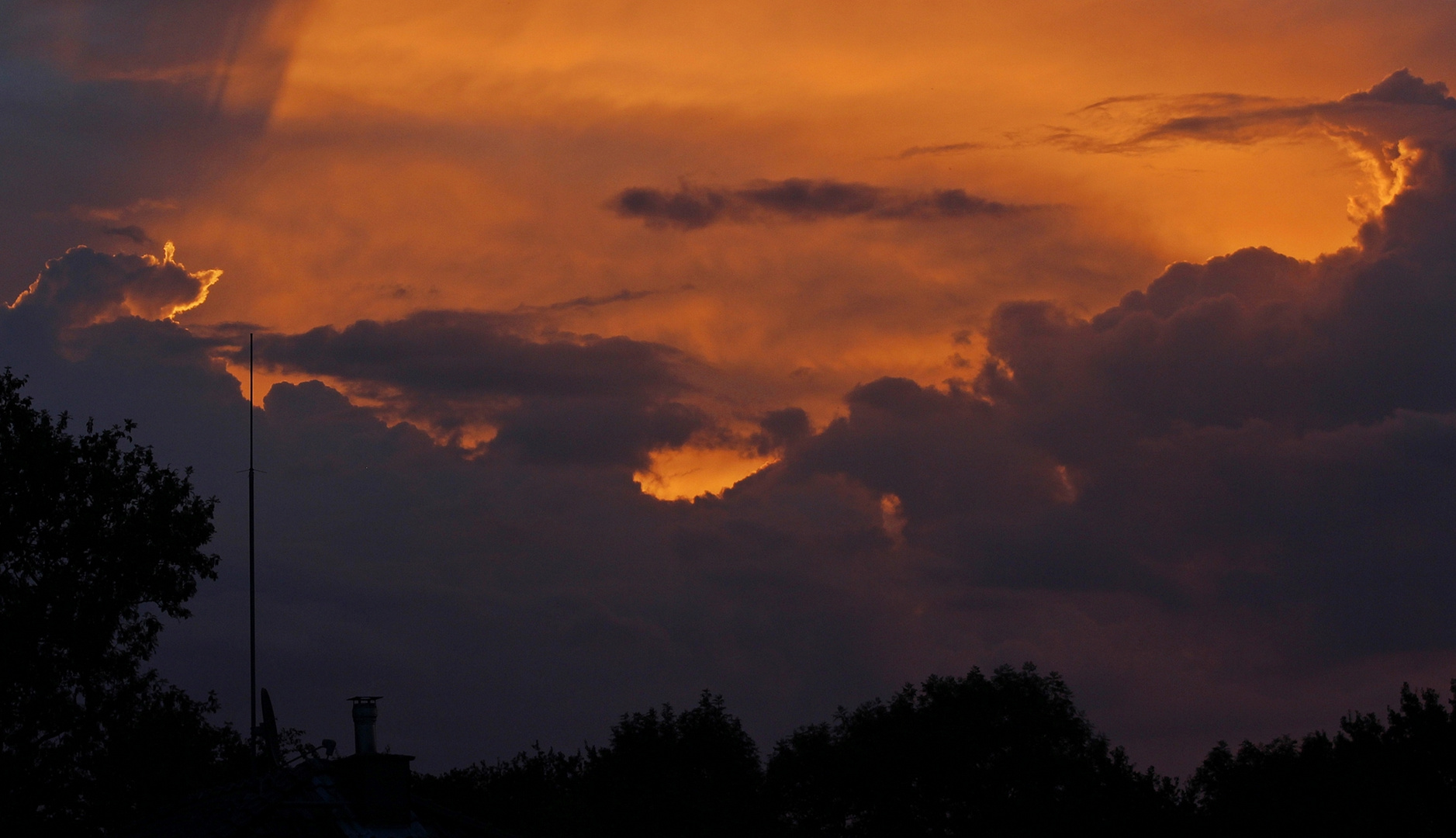 Wolkenkatze auf Wolkenwellen