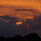 Wolkenkatze auf Wolkenwellen