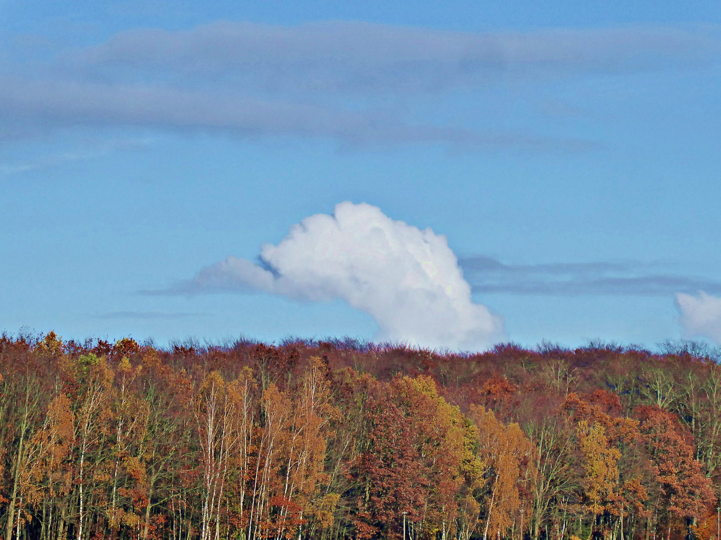 Wolkenkranich