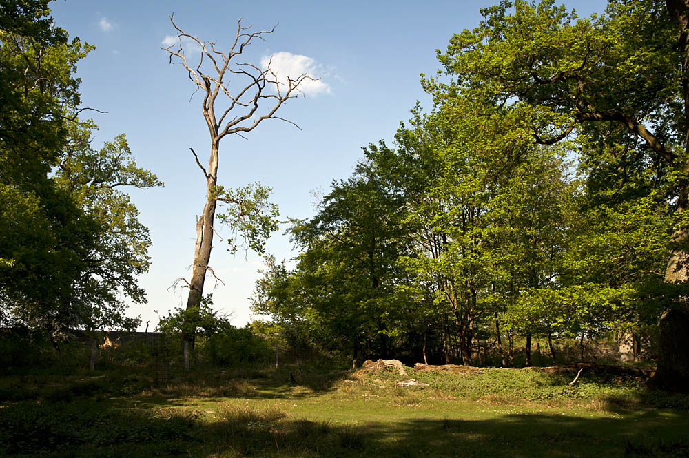 Wolkenkratzer