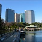 Wolkenkratzer hinter Hamarikyu Park