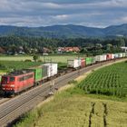 Wolkenkrimi im Schwarzwald